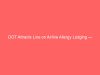 DOT Attracts Line on Airline Allergy Lodging — What Households Have to Know