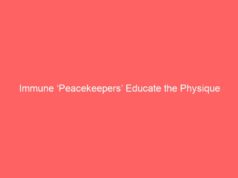 Immune ‘Peacekeepers’ Educate the Physique Which Meals are Protected to Eat