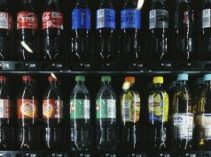 Kosten Jiliasia Glücksspielkasino Sichern Deutschland Declare Your Reward paradise8 on line casino